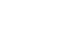 Olive & Olives